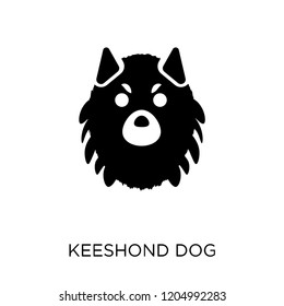 Keeshond dog icon. Keeshond dog symbol design from Dogs collection. Simple element vector illustration on white background.