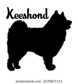 Keeshond dog silhouette, dog breeds, logo, vector, silhouette,  animal, illustration, icon, sign, design, black, symbol, pet, love
