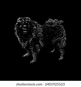 keeshond hand drawing vector isolated on black background.