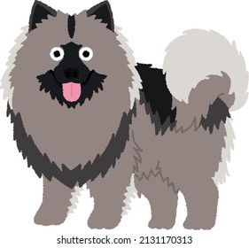 Keeshond Tend To Be Very Playful, With Quick Reflexes And Strong Jumping Ability. They Are Thoughtful, Eager To Please And Very Quick Learners.