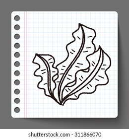 Kelp doodle