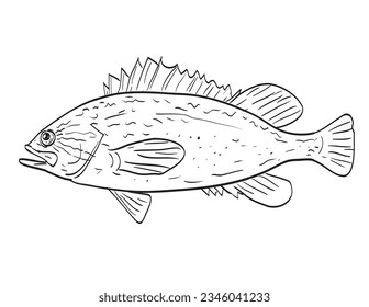 Kelp Rockfish Side View Cartoon Zeichnung