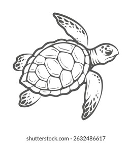 Kemp's Ridley Sea Turtle Line Art Illustration