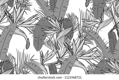 Kentia, banana palm leaves and paradise bird flower. Palm leaves and exotic flowers composition. Vector illustration. Botanical seamless background. Digital nature art.