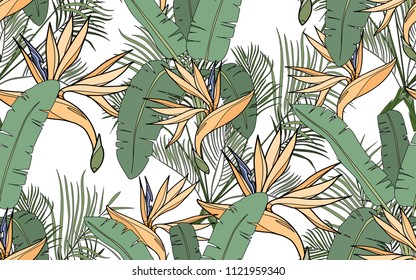 Kentia, banana palm and paradise bird flower. Palm leaves and exotic flowers composition. Vector illustration. Botanical seamless background. Digital nature art.