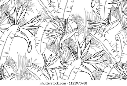 Kentia, palm leaves and paradise bird flower. Palm leaves and exotic flowers composition. Vector illustration. Botanical seamless background. Digital nature art.