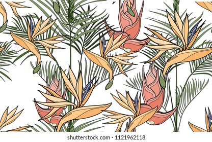 Kentia and paradise bird flower. Palm leaves and exotic flowers composition. Vector illustration. Botanical seamless background. Digital nature art.