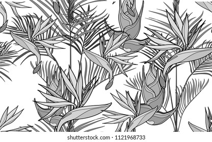 Kentia and paradise bird flower. Palm leaves and exotic flowers composition. Vector illustration. Botanical seamless background. Digital nature art.