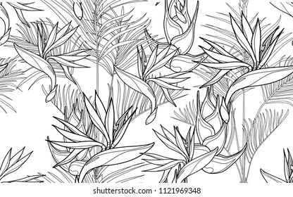 Kentia and paradise bird flowers. Palm leaves and exotic flowers composition. Vector illustration. Botanical seamless background. Digital nature art.