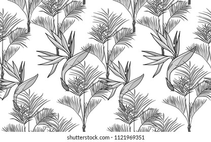 Kentia and paradise bird flowers. Palm leaves and exotic flowers composition. Vector illustration. Botanical seamless background. Digital nature art.