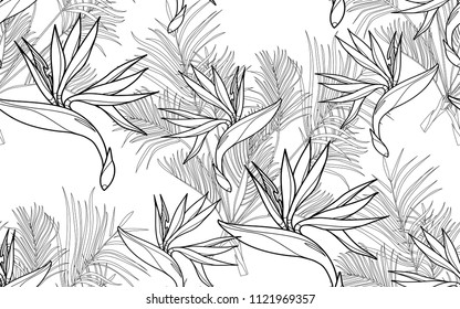 Kentia and paradise bird flowers. Palm leaves and exotic flowers composition. Vector illustration. Botanical seamless background. Digital nature art.