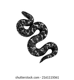 Ilustración vectorial del dibujo manual de Sand Boa en Kenia aislada en fondo blanco