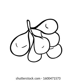 Kepel apple black and white vector for all purpose