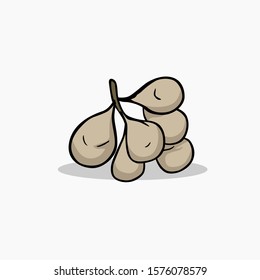 kepel apple vector with color for all purpose