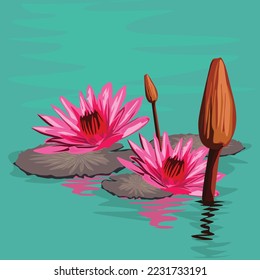 Kerala Ambalpoo Flowers with water  illustration 