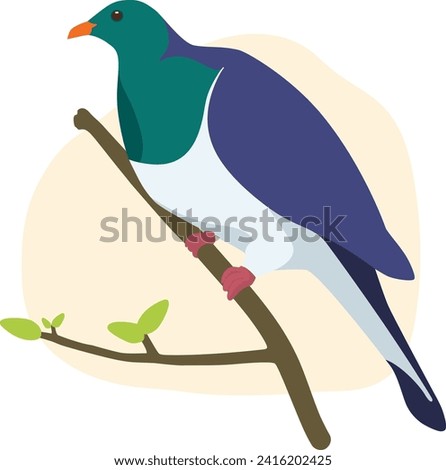 Kereru Native Bird Aotearoa New Zealand Pigeon Cute Flat Vector Illustration