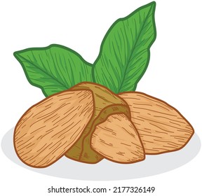 kernels vector for logo or other purposes