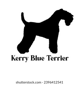 Kerry Blue Terrier Dog silhouette dog breeds logo monogram face vector