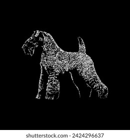 kerry blue terrier hand drawing vector isolated on black background.