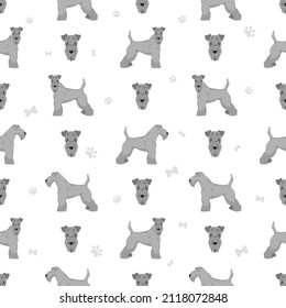 Kerry Blue Terrier seamless pattern. Different poses, coat colors set.  Vector illustration