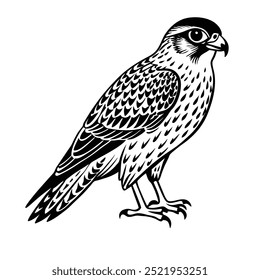 Pájaro Del Cernícalo, Blanco Y Negro, Imagen, Vector, Fondo Blanco