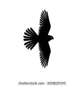 Kestrel flight silhouettes vector illustration