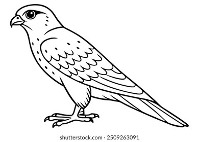 a kestrel with lainar vector lllustration