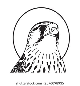 Kestrel - Majestic Falcon of Open Skies