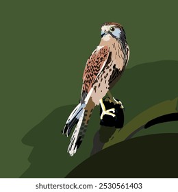 kestrel pássaro marrom selvagem em galho verde ilustração de fundo