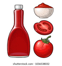 Ketchup bottle, tomato sauce in a plate, whole and slice tomatoes. Vector engraving color illustration. Isolated on white background.