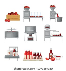 Ketchup Manufacturing Process with Tomato Harvesting, Washing and Squeezing Vector Illustration Set