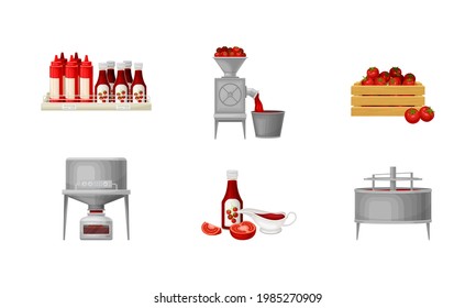 Ketchup Manufacturing Process with Tomato Harvesting and Squeezing Vector Illustration Set