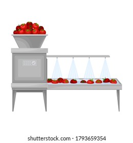 Ketchup Manufacturing with Tomato on Conveyor Belt Washing Process Vector Illustration