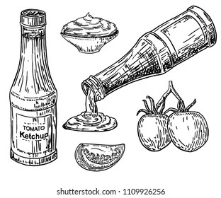 Ketchup sauce bottle with tomatoes. Traditional glass tomato ketchup bottle isolated on white background. Engraved hand drawn illustration in retro vintage style. Fast Food ingredient sketch.