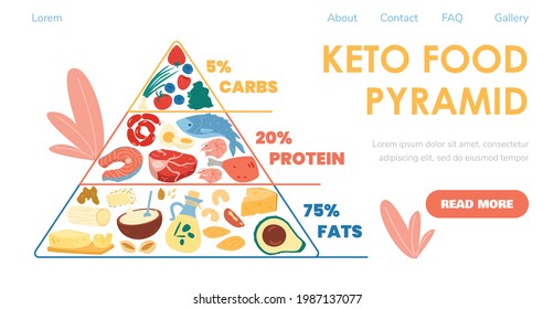 Keto diet food pyramid in web banner design, flat vector illustration. Ketogenic food and nutrition principes scheme for nutritionists website or landing page.