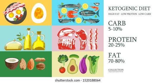 Ketogenic diet. A large set of products for the keto diet. Vector illustration. Meat, fish, vegetables, oils, nuts, eggs. Colorful poster with different products.