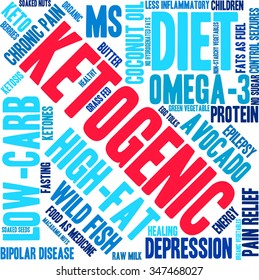 Ketogenic word cloud on a white background. 