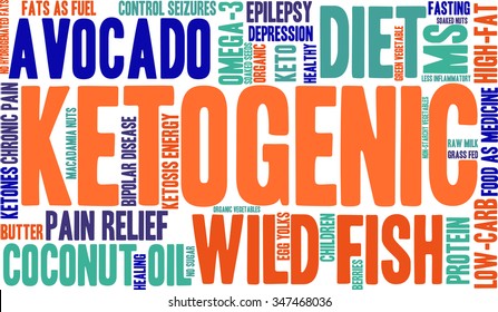Ketogenic word cloud on a white background. 