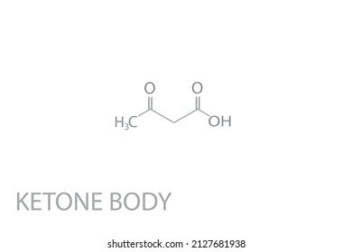 Ketone body molecular skeletal chemical formula.	Vector illustration.