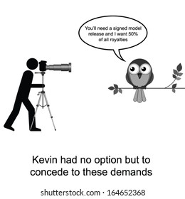 Kevin was having problems with the wildlife cartoon isolated on white background 