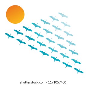 key birds vector silhouette