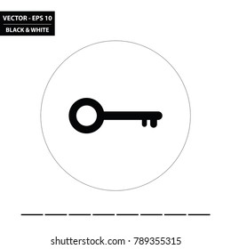 Key black and white / glyph flat icon. Vector Illustration.