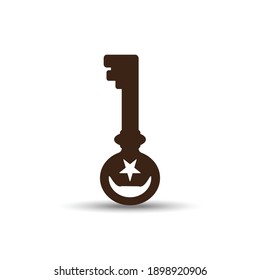 Key in brown color with shadoow and wwhite background
