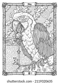 Key card from the oracle Old Marine Lenormand deck with parrot.  Nautical vintage background, coloring book page, t-shirt and tattoo vector graphic, pirate adventures concept. 