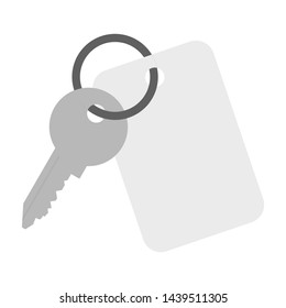 key in key chain with electronic pass key card isolated on white background. vector illustration