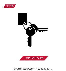 key chain  vector icon symbol