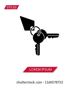 key chain  vector icon symbol
