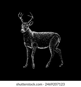 key deer hand drawing vector isolated on black background.