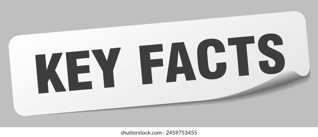 key facts sticker. key facts rectangular label isolated on white background