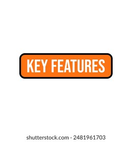 Key Features important facts product button icon design vector